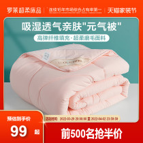 Rolaie Home Textiles Students Dormitory Single Double Winter Thickening Warm Spring Autumn Quilt by summer cool quilted quilted cotton by air conditioning