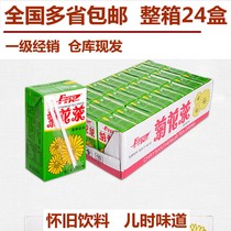 Dongpeng chrysanthemum tea beverage in a box of 24 boxes of ready-to-drink thirst-quenching summer heat Guangdong summer chrysanthemum Dongpeng special beverage