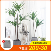 Simulation green plant ornaments dragon blood tree millennial Wood fake plant bonsai large living room indoor floor decoration potted plants