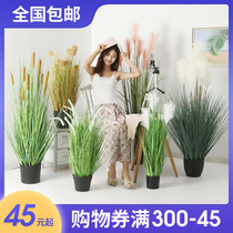 Nordic large-scale simulation plant potted reed grass fake grass decorative bonsai ornaments ins wind home floor-to-ceiling green plants