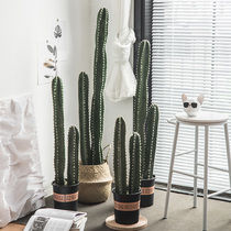 ins Nordic style fake cactus simulation plant Bonsai Large fairy column green plant living room indoor floor decoration