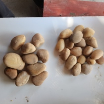 Non-polished variegated pebbles and gravel Floor heating backfill filter material filtration Construction engineering Stone park Forest paving path
