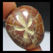 Fossil AF6720I0 * cobweb small sea urchin fossil *(1 8cm4 3G)