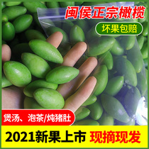 Fresh green olive fruit 500g green fruit soup raw to eat Minqing sandalwood pregnant fruit Fujian specialty Chaoshan