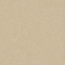 Marco Polo Anna Stone