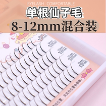 Xuelina false eyelashes womens single cluster natural simulation dense single root A- type fairy hair eyelashes single plant mixed suit
