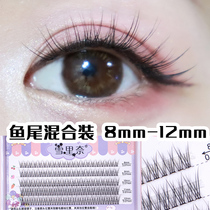 Xuelina false eyelashes womens single cluster root grafting eyelashes hairy fish tail simulation mixed false eyelashes natural