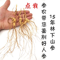 Special offer 15 years wild mountain ginseng Changbai Mountain Wild ginseng Forest ginseng Authentic Northeast specialty gift box wine ginseng