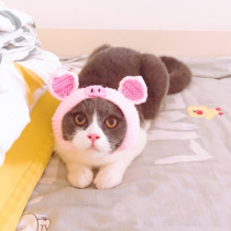 Pet hat cat dog headgear cross hat pink piglet wool headdress cute funny photo accessories