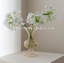 Shinymomo Tulip Bottle Flower Arrangement Living-room Pendulum with transparent Han-style ins glass retro vase