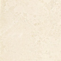 Nobel yang tai zhuan RS807301