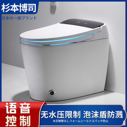Household Japan imported fully automatic smart toilet integrated electric ceramic toilet instant hot remote control drying