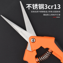 Household scissors branch scissors Handmade small flower branch scissors Fruit tree pruning scissors Non-slip and labor-saving flower branch branch scissors