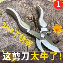 German imported branches special scissors pruning shears stainless steel gardening flowers and plants grape fruit tree picking plant scissors