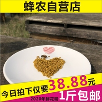 Coated beefield Shiyan fresh natural gallnut pollen edible bee pollen bee pollen bee farmer self-produced 500g
