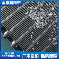 Customized 304 stainless steel encrypted herringbone type high temperature resistant mesh belt food drying quenching furnace metal conveyor mesh chain