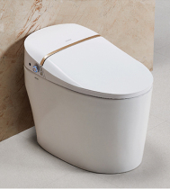 ARR0W ARROW SIGNS BATHROOM AKB1305 SMART TOILET