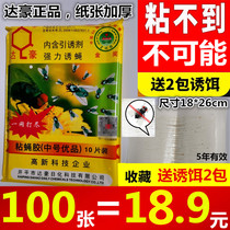 Dachau medium excellent product 100 fly paste strong sticky fly paper sticky fly paper sticky fly board medicine dip mosquito killer catcher