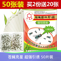 Dachao strong catch and kill sticky fly glue Lure type fly trap tape Fly sticker Fly medicine 50 sheets
