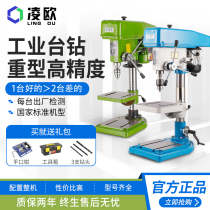 Lingou Z516 16mm industrial high-precision bench drilling machine and West Lake bench drill the same z4120