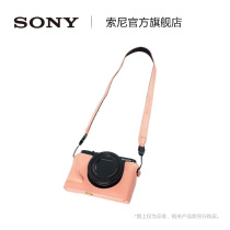 Sony Sony LCJ-LCRX2 camera case black card camera
