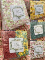 (Ghost series limited-time customized) MO Home Paper cotton colored paper cotton cushion Bin Rat Mat to show only