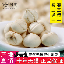 Buy 3 get 2 true wild Sichuan Chuanbei Powder Chinese Herbal medicine Songbeimibei 10g non-special grade