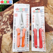 Fruit scissors pruning shears horticultural scissors grape scissors betel nut scissors orange scissors citrus scissors rare fruit scissors