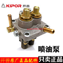 Kaipu two-cylinder silent diesel generator accessories KDE12STA3 fuel injection pump KM2V80 governor