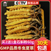 Xuanqing Cordyceps Sinensis 25 5g Tibet Naqu Cordyceps Tea Wild dried mushroom Powder Gift box Flagship store