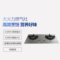 a.o.smith Smith JTZ-F3B2 gas stove