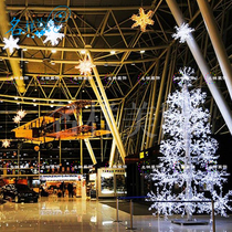 Name sample Mei Chen outdoor large LED Christmas lights Christmas tree lighting Square Mall atrium hanging lighting