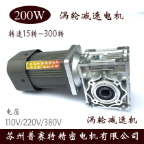 200W speed control motor with RV030 040 050 reducer 90 degree output shaft hollow worm gear reducer