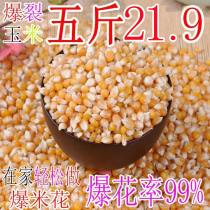 Burst corn 5 kg popcorn special saucer small corn Popcorn corn kernel raw material 2500g