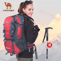 Camel outdoor mountaineering bag shoulder lightweight large capacity backpack Waterproof hiking sports bag 40L 50L 60l men and women