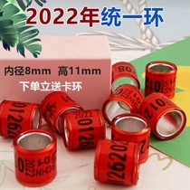 Letter Dove Foot Ring 2022 Letter Dove Foot Ring Without Proof United Ring Foot Ring Pigeon Ring Racing Pigeon Supplies Utensil Dove Ring