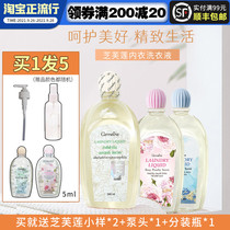 Thai giffarine Zhifulian underwear cleaning agent bacteriostatic blood stains Fragrance Laundry washing liquid
