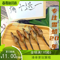 Forest frog dry snow clam Jilin specialty Changbaishan foot dry forest frog oil Snow clam oil ointment toad 10 grams 10