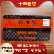 Laojuntang Antler Rubber 250g Henan Laojuntang Antler Rubber Iron Boxed Free Grinding Powder