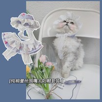 ins pet dog cat spring and summer lace flower Sun Hat sun hat photo accessories selling cute travel decoration