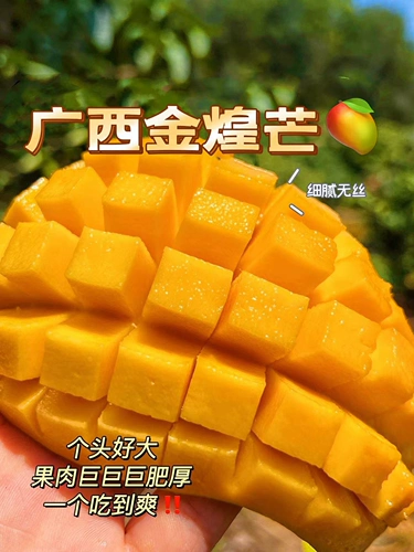 Guangxi Baise Jinhuang Mango - тонкая и тонкая, тонкая, густая, толстая, первая фрукты, сладкое и кислое свежее сад теперь выбирает