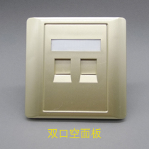 Champagne gold dual-port network panel without module 86 type Huake network computer telephone information blank panel