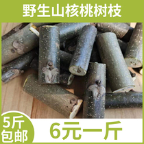 Hickory branches walnut trees fresh wild walnut branches natural herbal branches