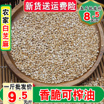 Farmhouse self-produced white sesame 500g grams of oil sesame seed with leather freshly sesame clean and free of squeeze oil