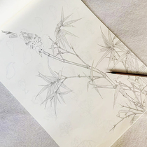 Chinese painting line drawing zero basic entry fine brushwork drawing bottom line drawing drawing drawing line drawing flower plant bamboo insect butterfly butterfly