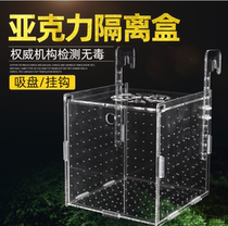 Ornamental fish tank isolation plate net small fish tropical guppies fetal incubation breeding box box hanging suction cup leather acrylic