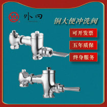 Shanghai Waigang bathroom Copper stool delay Flushing Valve foot valve squat flush valve a Type B large discount