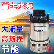 Japan Fuji water pump stainless steel koi fish pond circulating pump large flow filtration energy saving fish pond circulating pump
