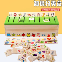 Montessori teaching aids early education box knowledge classification box Montessori kindergarten cognitive childrens educational learning toys