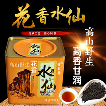 Narcissus Tea Super Flower Fragrant Wuyi Zhengyan Oolong Alpine Wild Zhangzhou Old Cong Qingxiang Spring Cooked Tea Canned